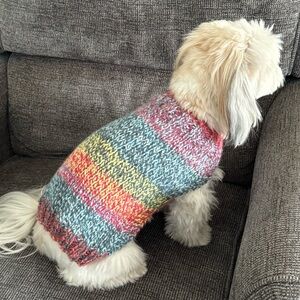 Hand knitted dog sweater & matching child’s hat.